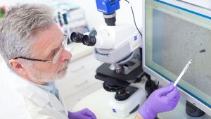 Senior head scientist microscoping in the life science research laboratory trying to cure cancer