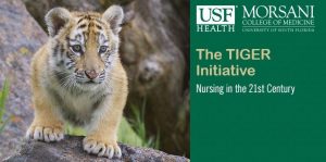 a baby tiger symbolizing the tiger initiative