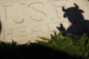 USF logo on a wall with the shadow of the bull mascot being cast on it