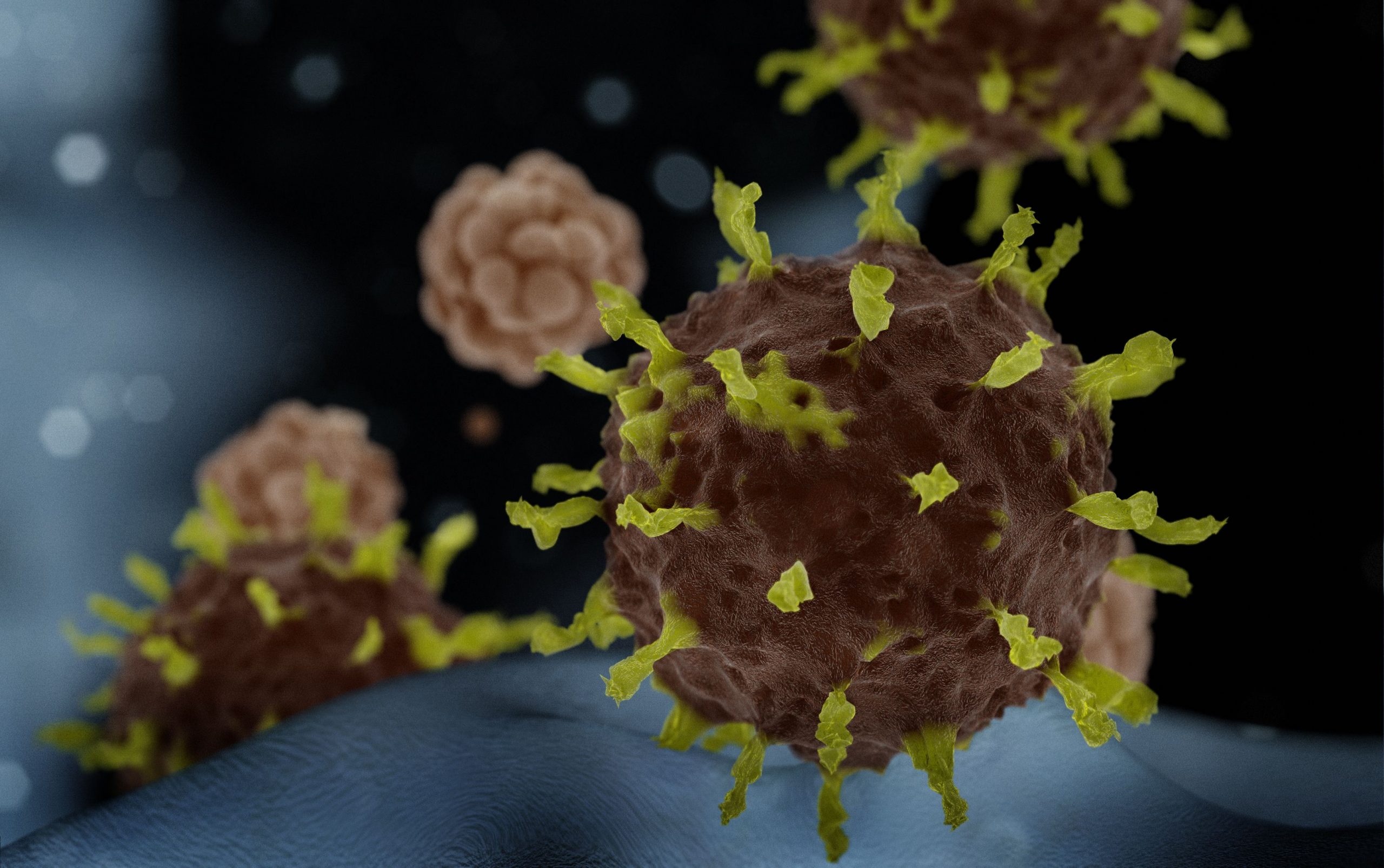 A depiction of a virus cell